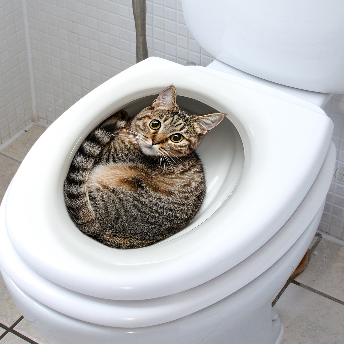 3D Funny Cat Toilet Sticker Ba - đánh giá và giá Home Center Bathroom Accessories